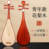 [Профессиональный экзамен] Hanswood Log Polishing-Young Pipa