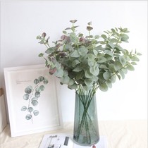 ins Nordic style simulation flower Eucalyptus leaf photo props Home decoration photography background decorative ornaments