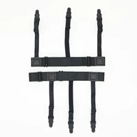 Черная тыква, разделенная