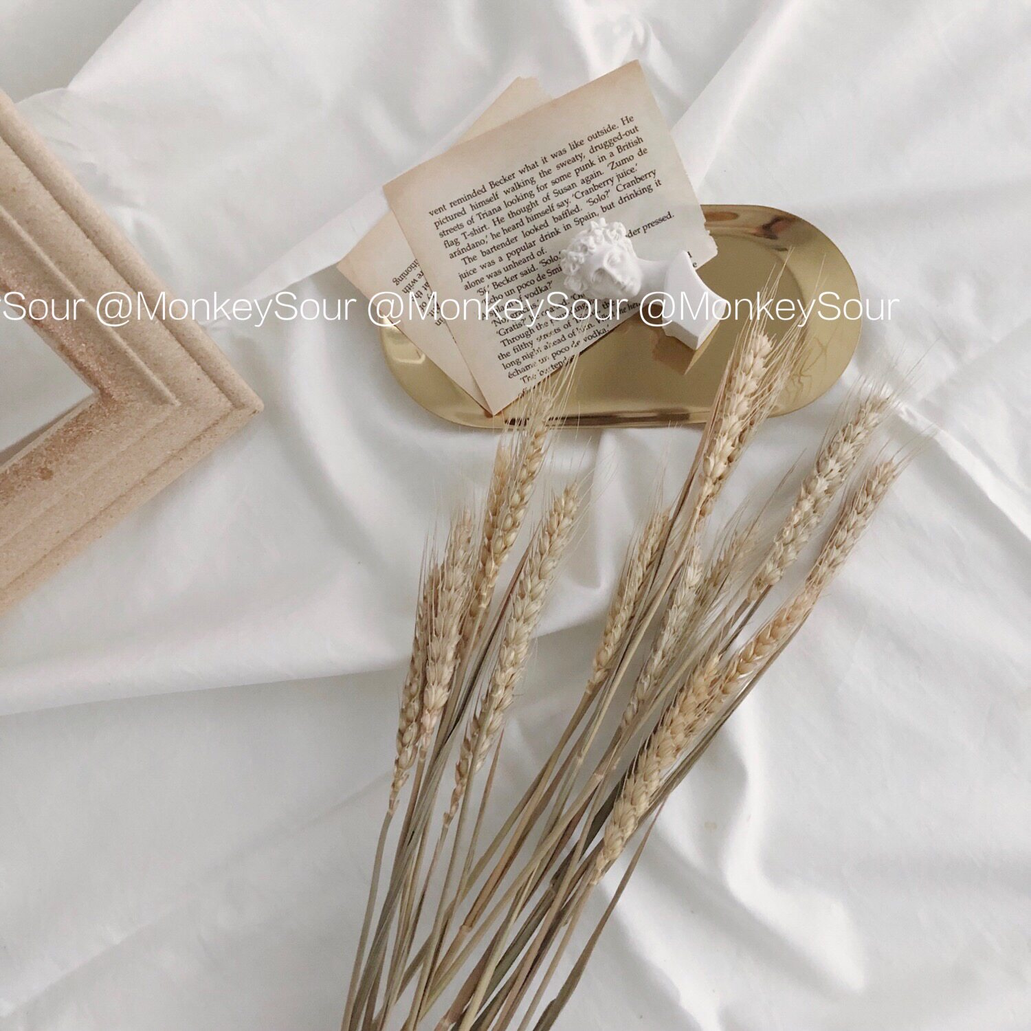 ins natural wheat ear drying bouquet barley pastoral home decoration homestay cabinet soft outfit photo props rice ear real flower