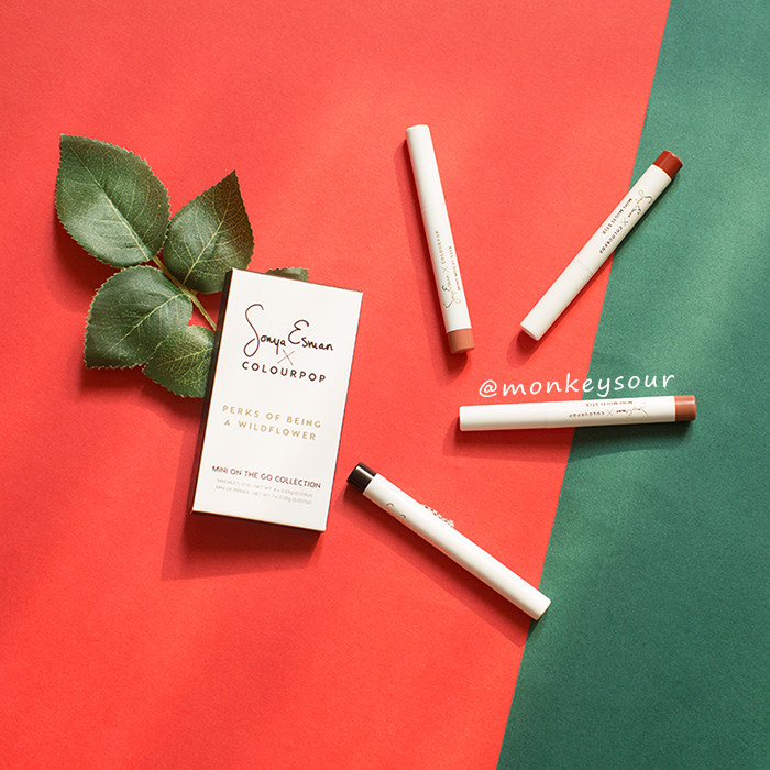 Monkeysour Custom Autumn Winter Berries Red Ink Green Retro Color Pure Color Monochrome Photo Prop Background Paper