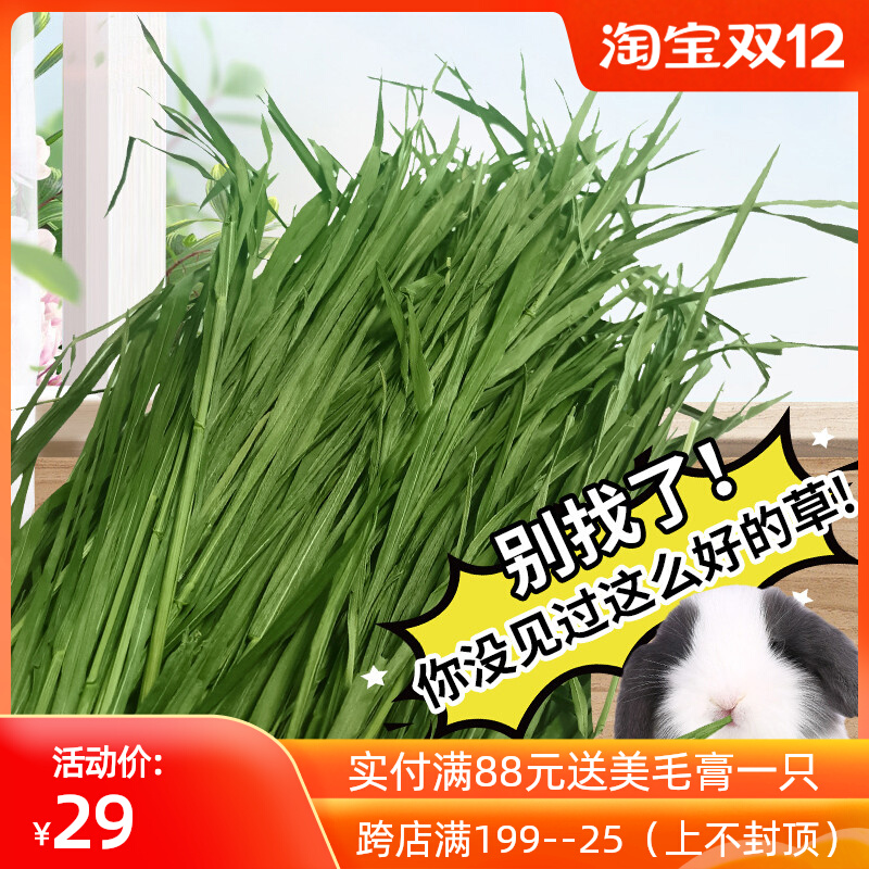21 New Harvest New Wheat Grass Hay Drying Natural Rabbit Chinchia Pig Grass Gross Weight 1kg