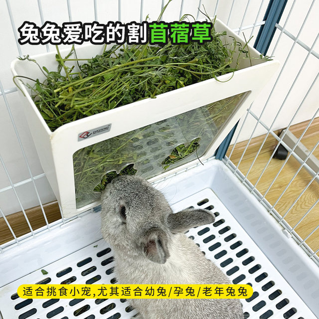 Alfalfa grass rabbit ອາຫານ alfalfa grass edible grass rabbit food chinchilla food hay guinea pig alfalfa grass