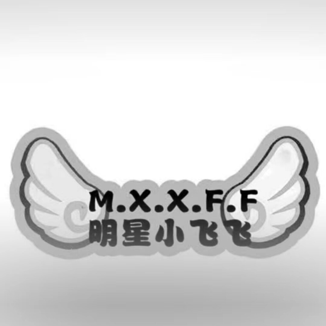 明星小飞飞的LOGO