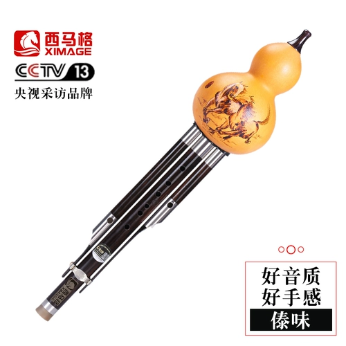 西马格 Evanic Blossom тыква Профессионал Шелк Cfference C под GFD GFD Студент взрослый начальный Hushe Hushe