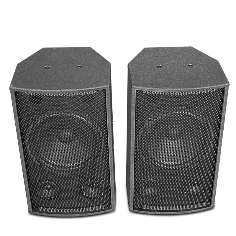 High-power home KTV audio set gym dance training room conference 10-inch home karaoke speaker