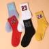 Vớ thể thao nam vớ NBA star kỹ thuật số vớ nam cotton thoáng khí không mùi bàn chân dày thường xuyên mùa thu và mùa đông vớ cotton vớ gấu Vớ bông