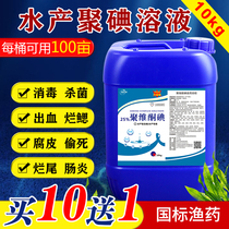 Polyvidone Iodine Disinfectant Aquaculture Aquaculture Small Lobster Crab Fish Pond Composite Iodine Solution Germicide Disinfectant 10kg