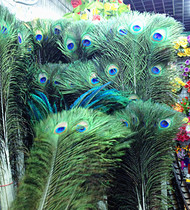 Peacock feather pure natural real peacock hair peacock feather tail wedding feather DIY home Vase decoration