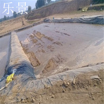 Environmental protection with soft biogas plant anti-seepage film oxidation pond Septic Tank Waterproof for Black Film Geomembrane