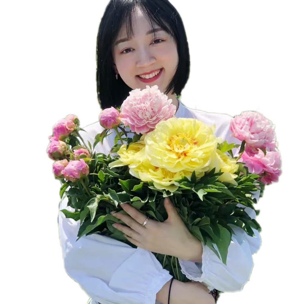 菏泽娜娜牡丹芍药种植基地