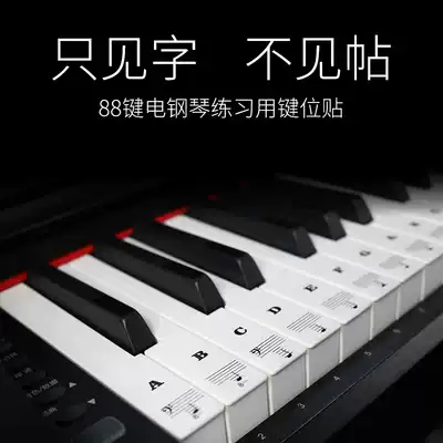 37 keys 49 keys 88 keys 61 keys 54 keys transparent piano key sticker keyboard sticker staff note stickers electronic organ