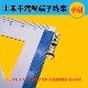 Большая женская игла