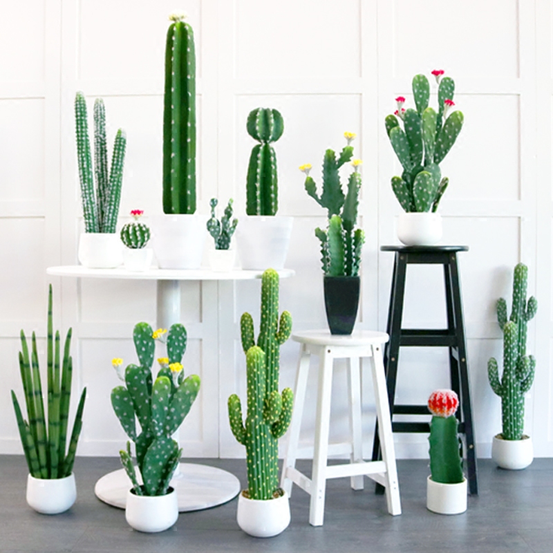 Simulation plant potted plant false multi-meat cactus bonsai Nordic fresh home living room decorated with green plant furnishing pieces