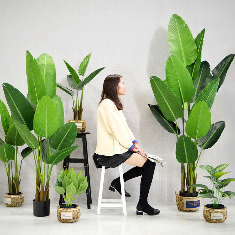 Nordic Emulation Plant Tiantang Birds Plantain Tree Brigade People Banana Tortoise Back Leaves Fake Trees Large Upscale Green Plant Bonsai