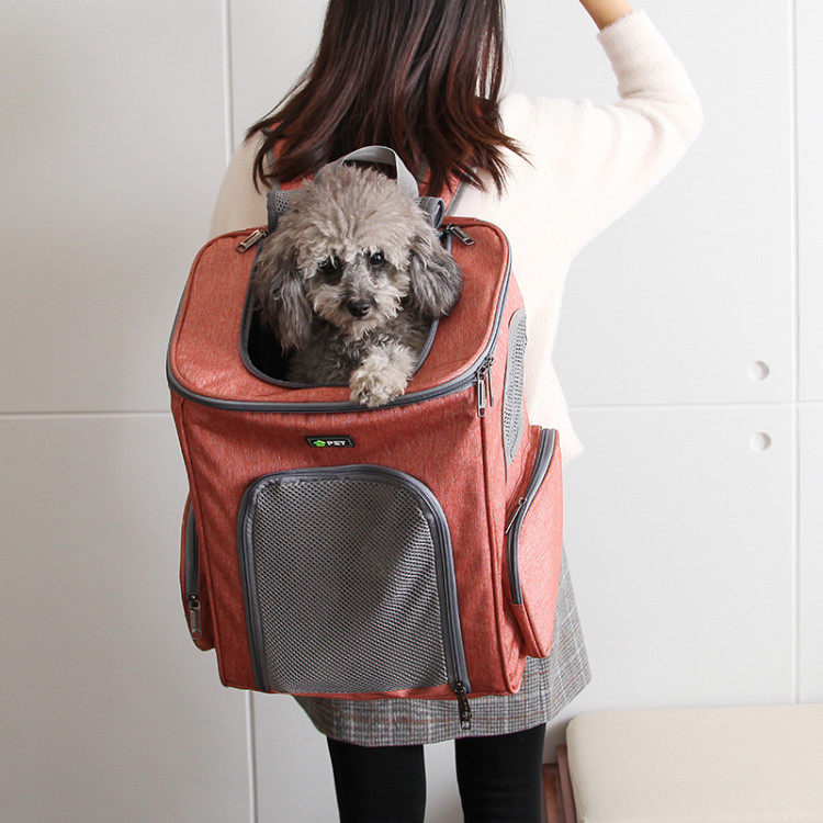 Pet Backpack Cat Outing Bag Cat and Dog Cage Teddy Portable Space Capsule Pet Backpack Dog Supplies - Taobao