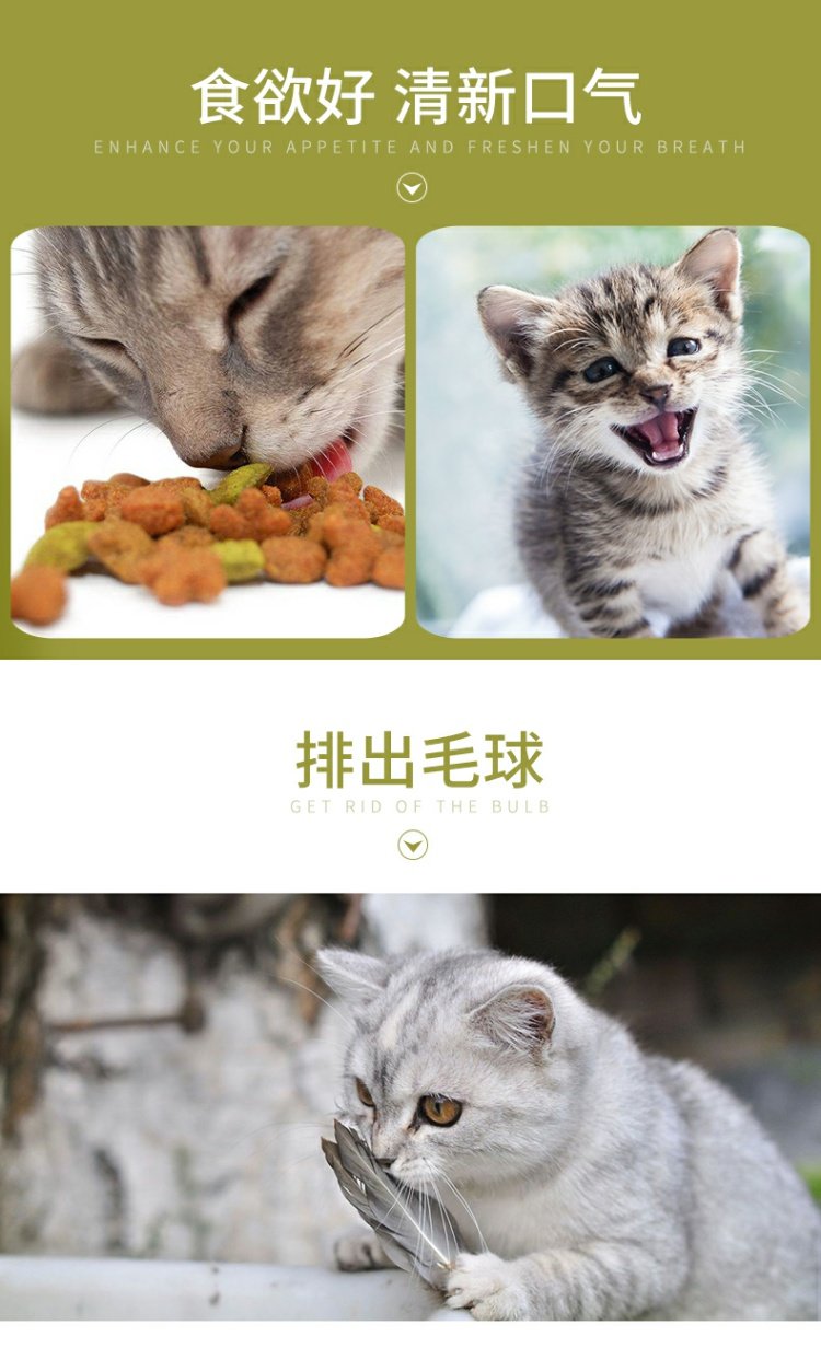 Catnip Lollipop Cat Toy Wood Scorpio Snacks Molar Stick Catnip Ball Funny Cat Stick 4 Pack - Đồ ăn nhẹ cho mèo cá hộp