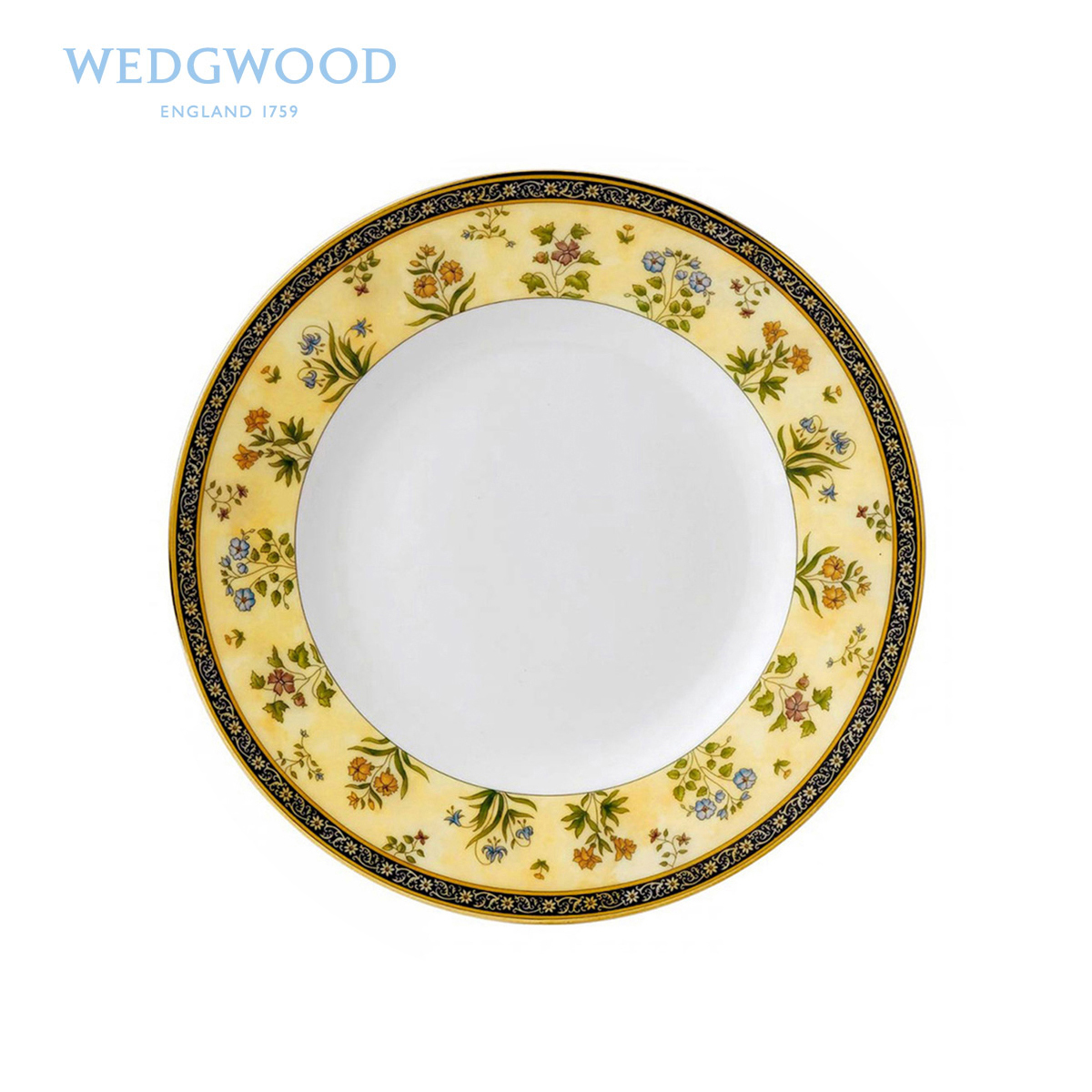 Wedgwood waterford Wedgwood India India spend 20/31 cm ipads porcelain plates for the only western dishes