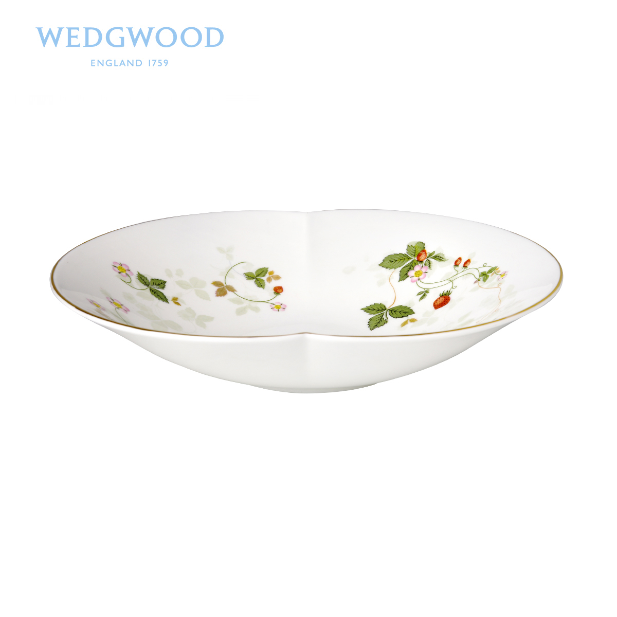 Wedgwood WildStrawberry wild strawberry type ipads China apple compote single European dishes