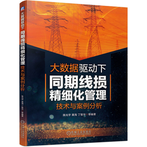 正版 大数据驱动下同期线损精细化管理技术与案例分析 陈光宇 能源与动力工程 台区线损率异常的智能辨识方法 机械工业出版社