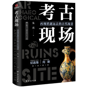 正版 考古现场：再现消逝远去的古代场景 文物考古 考古知识读物 台海出版社