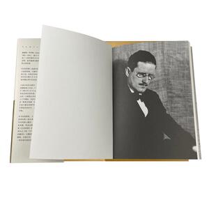 精装正版 尤利西斯 上下册套装3册 乔伊斯文集 詹姆斯乔伊斯著意识流小说的代表作现代派小说经典上海译文出版社外国文学小说书籍