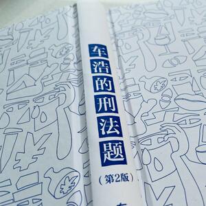 正版2021车浩的刑法题第2版二版北京大学法学院刑法分论考题解析烧脑之后体悟刑法背后法理人情刑法理论学习搭刑法的私塾法律书籍