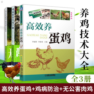 高效养蛋鸡+鸡病防治实用手册+无公害肉鸡高效饲养技术 高效养鸡技术 养鸡的书 养鸡技术书 大全 鸡病快速诊断与防治技术书籍