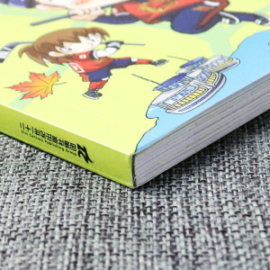 正版 世界城市寻宝记 温哥华寻宝记 我的第一本历史知识漫画书 儿童大百科全书科学课外阅读地理历史图书籍3-6-12岁小学生阅读科普