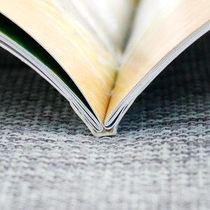 正版 海豚绘本花园：燕子的旅行（平）绘本儿童成长励志自强启蒙故事图画书幼儿 0-1-2-3-4岁书籍5-6周岁幼儿园