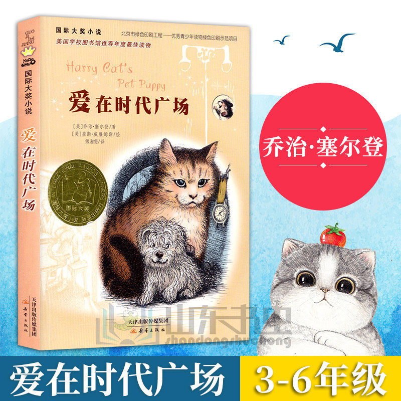 International Award Novels Love in Times Square 3rd grade, 4th, 5th and 6th grade primary school students reading books outside the classroom 9-12-15 year old youth growth inspirational story book Xinlei Publishing House Children