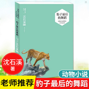 豹子 后的舞蹈动物小说精品少年读本 动物小说大王沈石溪系列儿童文学中小学生课外阅读读书籍9-15岁四五六年级青少年经典书目