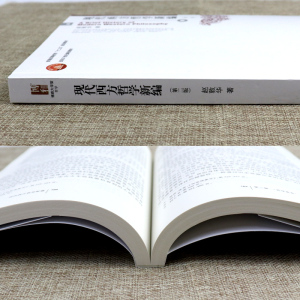 北大正版 现代西方哲学新编赵敦华 第2版 19世纪后西方哲学思想观点 西方哲学史入门经典读物 北大哲学系考研教材指导用书