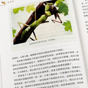 现货速发八年级上册昆虫记法布尔正版原著全本无删减部编人教版初二初中生 课外世界名著书籍人民教育出版社完整版红星照耀中国