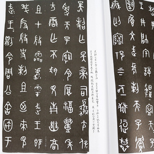 书法自学丛帖:篆隶 上册 篆书隶书毛笔书法字帖入门基础训练教程 上海书画 中国书法印章篆刻碑帖鉴赏临摹书籍 书法自学丛书 篆隶
