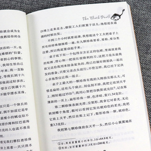 国际大奖小说非注音版 黑珍珠书籍 三四五六年级中小学生课外阅读 书籍 8-9-10-12-14岁青少儿童成长励志故事书新蕾出版社