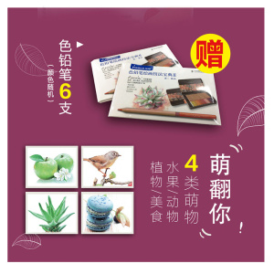 正版 色铅笔绘制技法宝典Ⅱ葱二著彩铅画入门教程书彩色铅笔基础教程&mdash;本就够素描绘画入门教材彩铅教程绘画书籍