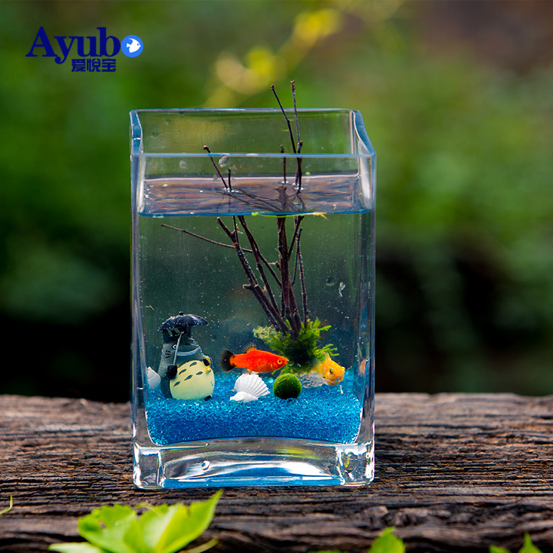 square fish tank small