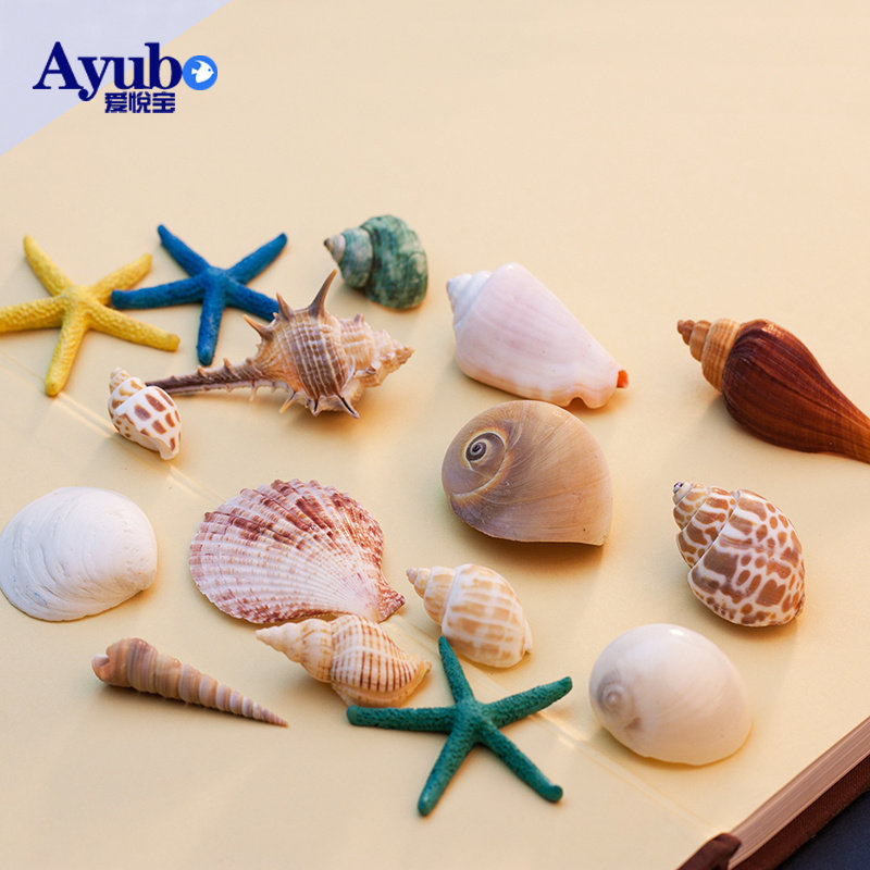 AiyueBao Fish tank decorative landscaping package Aquarium aquarium shell conch starfish coral ornament handicrafts