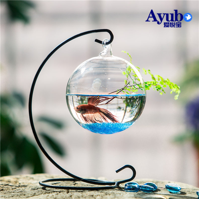 Hanging hanging glass fish tank Creative betta fish tank Living room Small Succulents Transparent Hydroponic Glass Vase