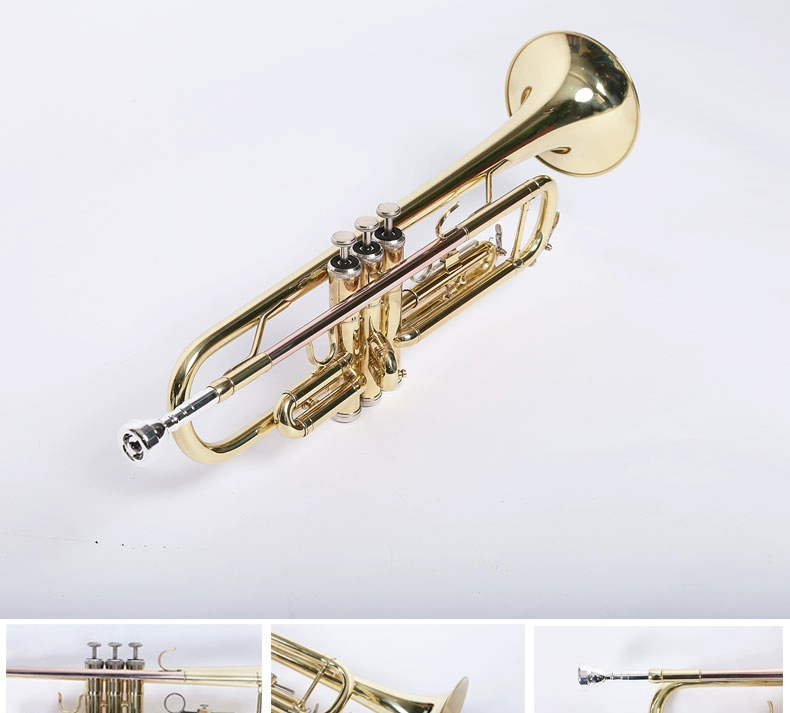 Authentic Murphyt nhạc cụ nhỏ / B phẳng sơn mài bằng đồng mạ bạc nhạc cụ số nhỏ người mới bắt đầu chơi chuyên nghiệp - Nhạc cụ phương Tây đàn vĩ cầm
