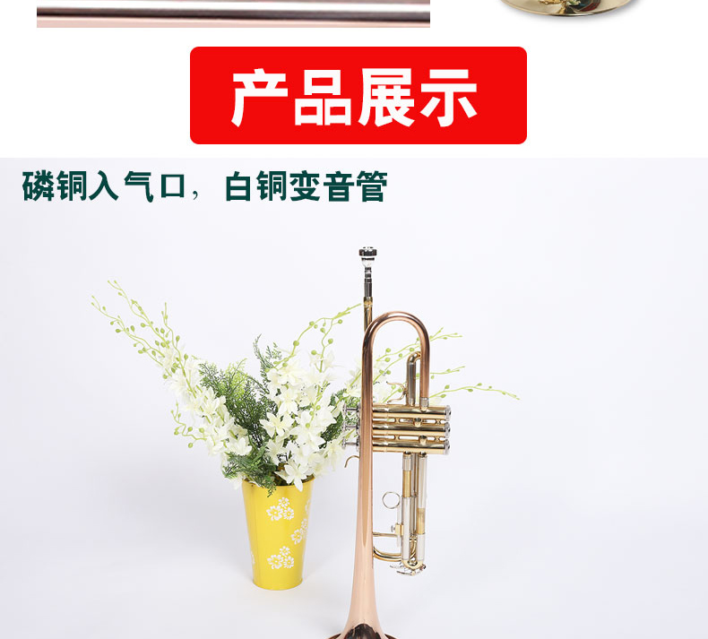 Authentic Murphyt nhạc cụ nhỏ / B phẳng sơn mài bằng đồng mạ bạc nhạc cụ số nhỏ người mới bắt đầu chơi chuyên nghiệp - Nhạc cụ phương Tây đàn mini
