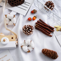 Retro forest dried flower bag natural pine cone leaf branches photo props pastoral shooting props baby set