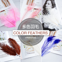 Feather peacock feather ins Wind soft sister room decoration photo props insert vase girl heart jewelry nail art