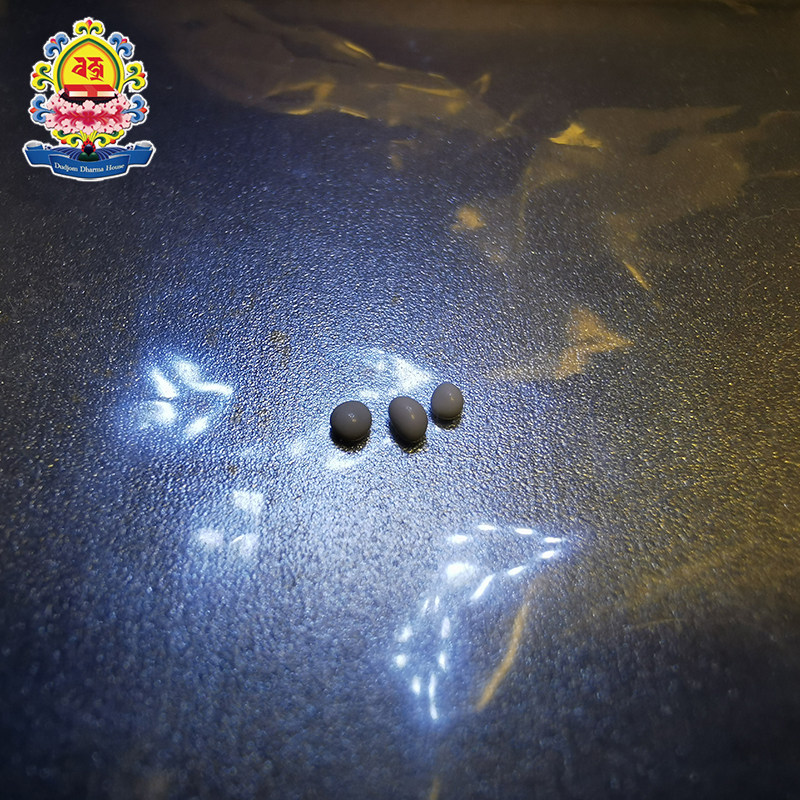 Kailash Sacred Mountain Heavenly Descent Sari Kagyu Monastery Pakmaden Zhen Khenpo Personal Treasured Friendship (3 bags)