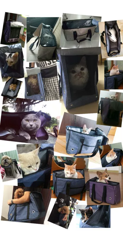 Pet túi ra túi chó túi thoáng khí mang túi chó túi mèo túi thỏ túi ba lô Teddy túi xách - Cat / Dog hàng ngày Neccessities