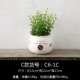 Nhà sáng tạo mô phỏng nhà máy chậu nhỏ phòng khách phân vùng trang trí nội thất trang trí cửa hàng phòng ngủ đồ nội thất