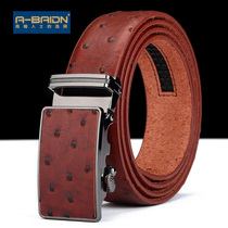 Ostrich Tattoox Genuine Leather Strap Fashion Automatic Buttoning Men Bull Leather Waist Bandwidth Pants Strap