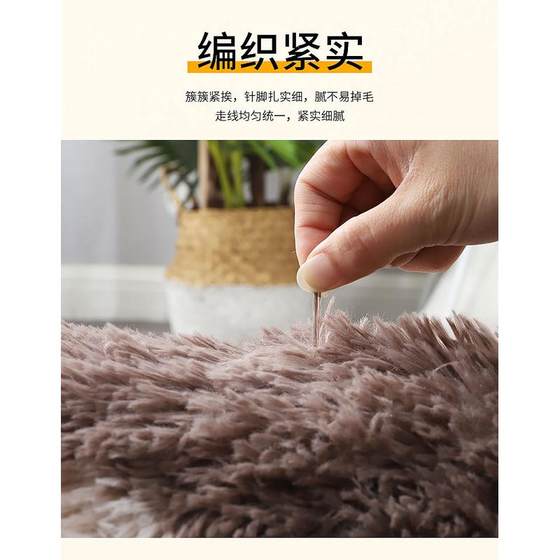 地毯客厅简约现代茶几毯卧室可爱满铺床边毯榻榻米地垫可定制