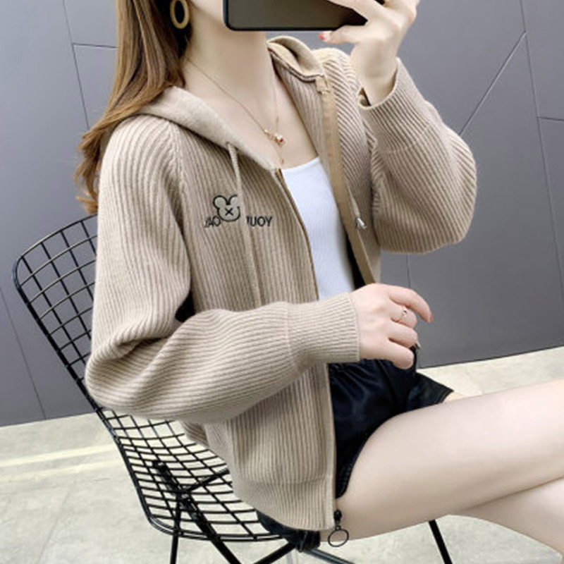 Hooded Knitted Cardigan Outerwear 2026 New Popular Spring and Autumn Loose and Stylish Versatile Sweater Jacket for Women